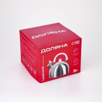 Чайник со свистком из нержавеющей стали Доляна &laquo;Мрамор&raquo;, 3 л, фиксированная ручка, цвет хромированный