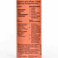 Дезодорант для обуви Штрих, аромат холодной мяты 100 мл Дезодорант для обуви Штрих, аромат холодной мяты 100 мл