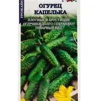 Семена Тыква Капелька (мини-овощи) /Сотка/ 0,5 г / 0,8-1,3, кг /*600