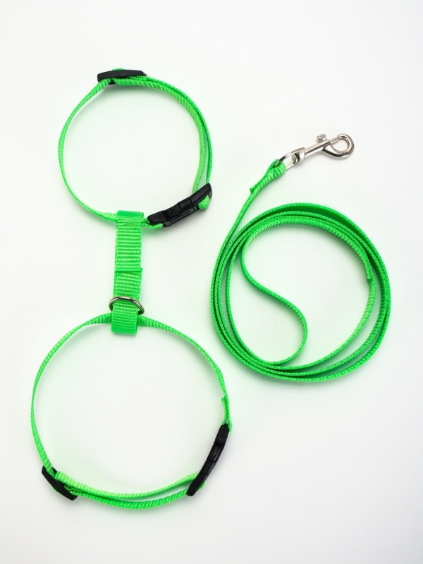 Комплект для кошек, ширина 1,5 см, ОШ 16,5-27 см, ОГ 21-35 см, поводок 120 см, зелёный