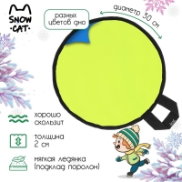 Ледянка Snow Cat, d=30 см, толщина 2 см, цвет МИКС Ледянка Snow Cat, d=30 см, толщина 2 см, цвет МИКС