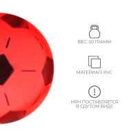 Мяч детский ZABIAKA &laquo;Футбол&raquo;, d=20 см, цвет МИКС