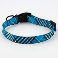 Ошейник &laquo;Джентльмен&raquo;, застёжка - фастекс, 2.5 см, 40-55 см