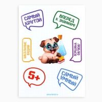 Подарочный набор на выпускной 10 предметов «Навстречу знаниям!» Подарочный набор на выпускной 10 предметов «Навстречу знаниям!»