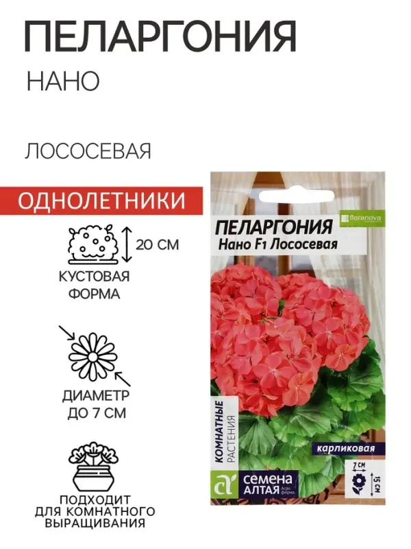 Семена цветов Пеларгония "Нано", ц/п,  "Лососевая", ц/п,  3 шт