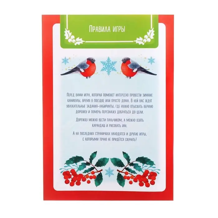 Новогодняя игра-книга &laquo;Чем занять ребёнка? Лабиринты&raquo;, А5, 26 страниц, 4+