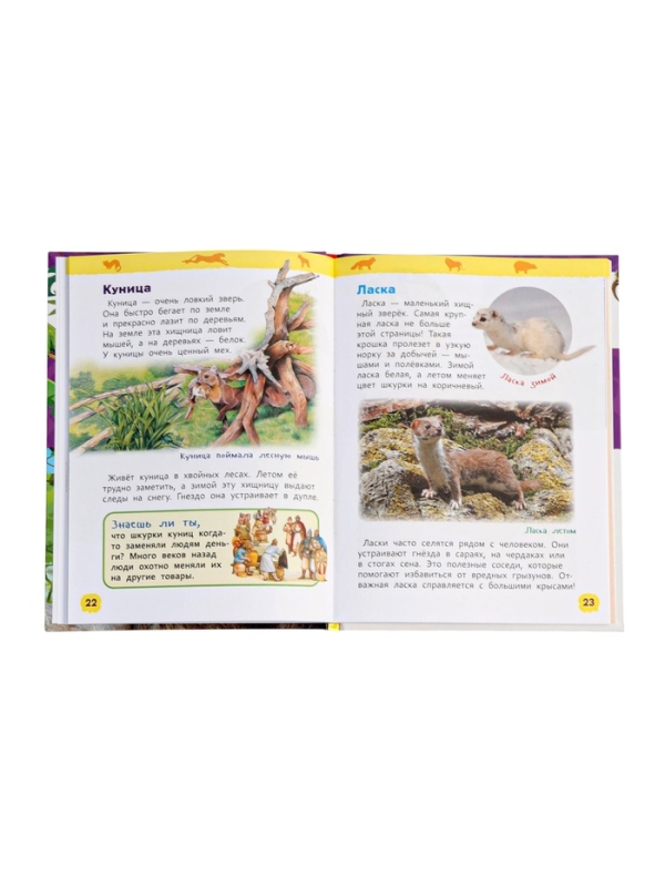 Детская энциклопедия "Дикие животные"