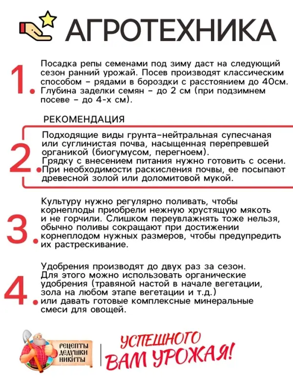 Семена Репа "Петровская 1", 1 г