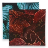 Фотофон двусторонний картон плотность 350 гр "Листья" 50х50 см Фотофон двусторонний картон плотность 350 гр "Листья" 50х50 см