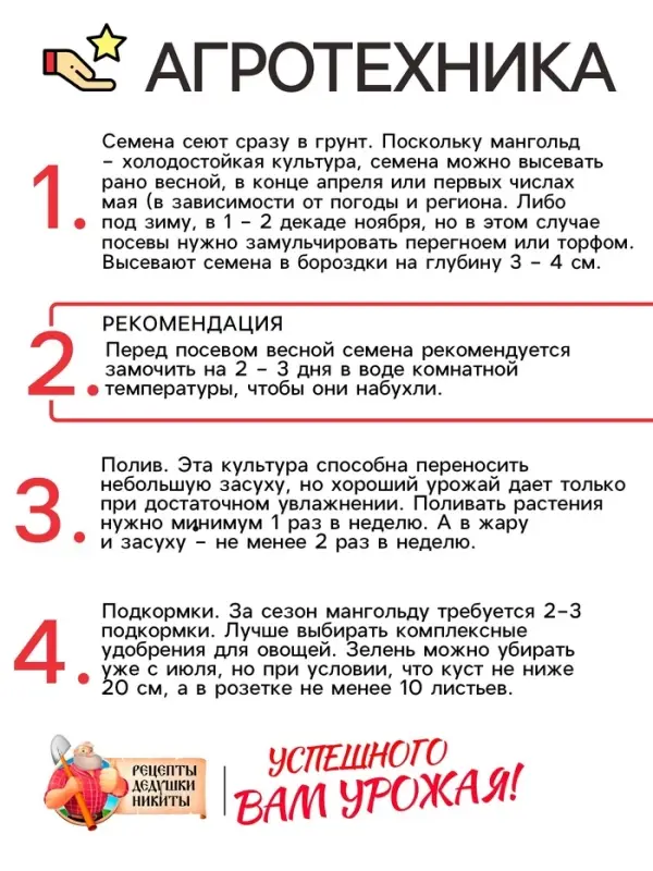 Семена Мангольд "Павлиний хвост", смесь, 1 г