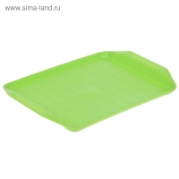 Поднос &laquo;Дональд&raquo;, 30&times;21 см, цвет МИКС