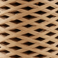 Пряжа 100% целлюлоза "Softino Raffia Color" ленточная, натуральная 200м ±2м 120 гр Пряжа 100% целлюлоза "Softino Raffia Color" ленточная, натуральная 200м ±2м 120 гр