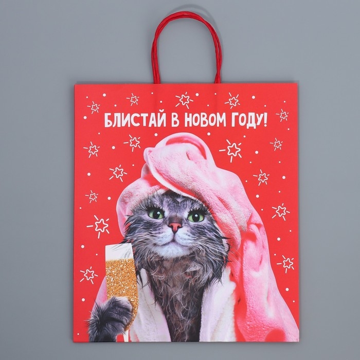 Пакет подарочный новогодний крафтовый &laquo;Блистай&raquo;, 28 х 32 х 15 см, Новый год