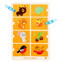 IQ Многоразовые карточки &laquo;Весёлые зверушки&raquo;, с прищепками, 4+