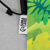 Мешок для обуви &laquo;1 сентября: Dinotime&raquo; нетканное полотно, размер 30 х 40 см