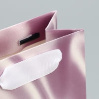 Пакет подарочный ламинированный, упаковка, Present for you, 10 х 22 х 6 см Пакет подарочный ламинированный, упаковка, Present for you, 10 х 22 х 6 см