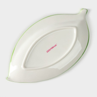 Блюдо фарфоровое Доляна &laquo;Зелёный сад&raquo;, 22,5&times;12&times;1,7 см, цвет белый