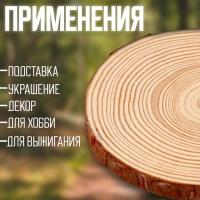 Деревянный декор &laquo;Спил дерева. Сосна&raquo;, размер: от 13 до 14 см