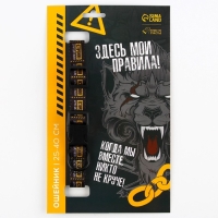 Ошейник &laquo;Осторожно&raquo;, застёжка - фастекс, 2 см 25-40 см