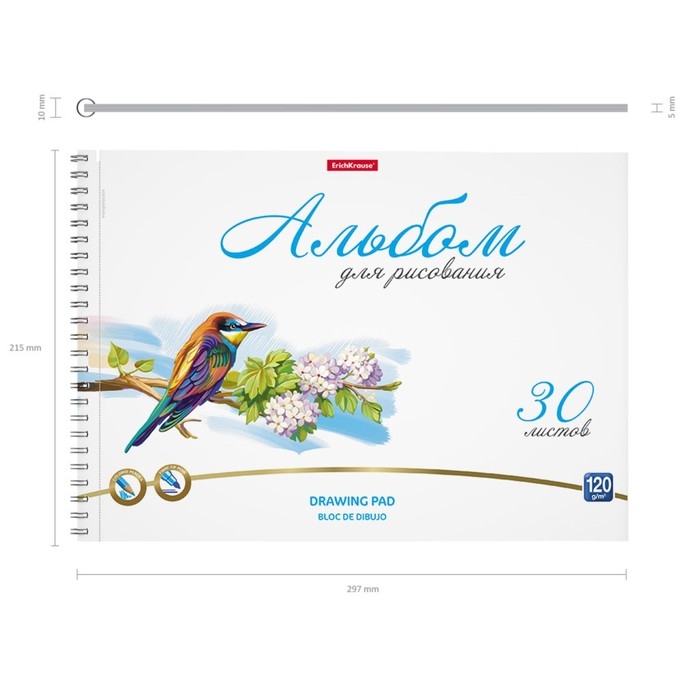 Альбом для рисования А4, 30 листов, блок 120 г/м², на спирали, Erich Krause Альбом для рисования А4, 30 листов, блок 120 г/м², на спирали, Erich Krause "Birds", 100% белизна, перфорация на отрыв, твердая подложка