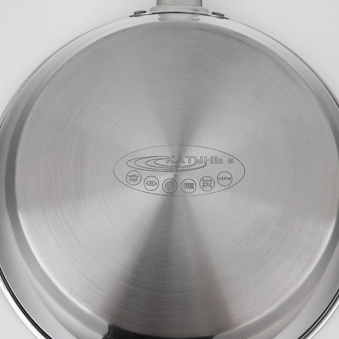 Сковорода &laquo;Общепит&raquo;, d=24 см, толщина корпуса 0,6 мм, дно 3,5 мм, с теплораспределительным слоем, антипригарное покрытие, индукция