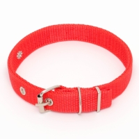 Ошейник для животных