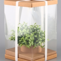 Коробка PVC, для цветов с лентой, 28 х 18 х 18 см, крафт