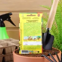 Набор семян Тыква крупноплодная "Сладкий пирог", 5 шт.