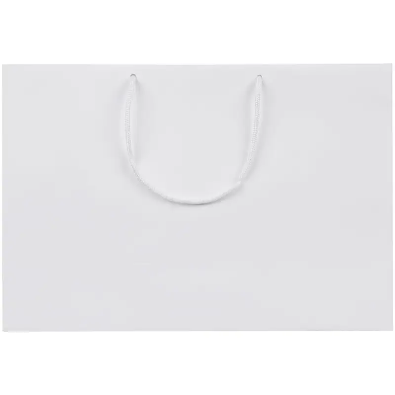 Пакет бумажный Ample Plus M, белый