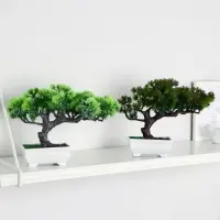 Бонсай в горшке &laquo;Хвойное дерево&raquo;, 10.5&times;18 см, МИКС