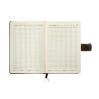 Ежедневник недатированный А5, 140л, клетка, к/зам, с ручкой, в подар. короб., Коричневый Ежедневник недатированный А5, 140л, клетка, к/зам, с ручкой, в подар. короб., Коричневый