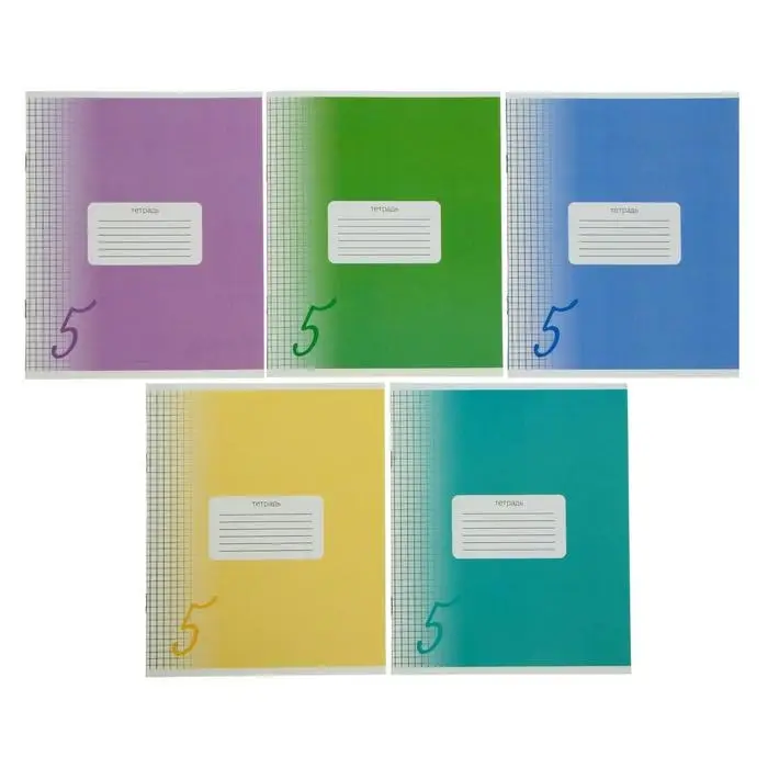 Тетрадь 24 листа в клетку, Calligrata &laquo;Пятёрка&raquo;, обложка мелованный картон, МИКС