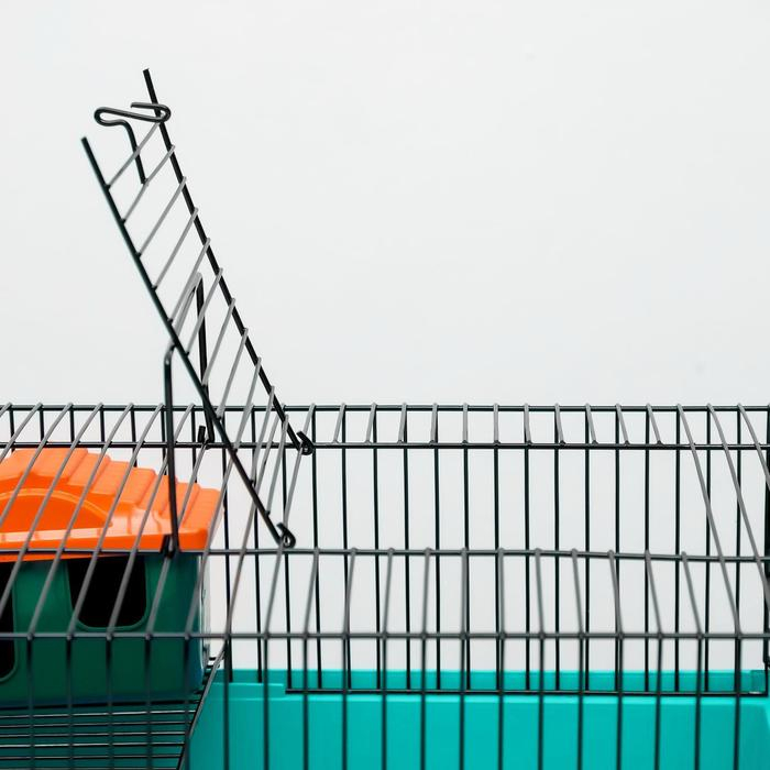 Клетка для грызунов Клетка для грызунов "Пижон" №4, с этажом, укомплектованная, 37х26х18 см, бирюзовая