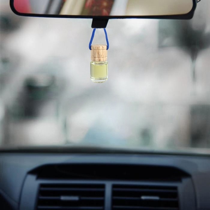 Ароматизатор в автомобиль на 23 Февраля &laquo;Газ в пол&raquo;, аромат: яблоко, цитрус, парфюм