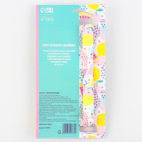 Ошейник &laquo;Сочное настроение&raquo;, застёжка - фастекс, 2.5 см, 40-55 см