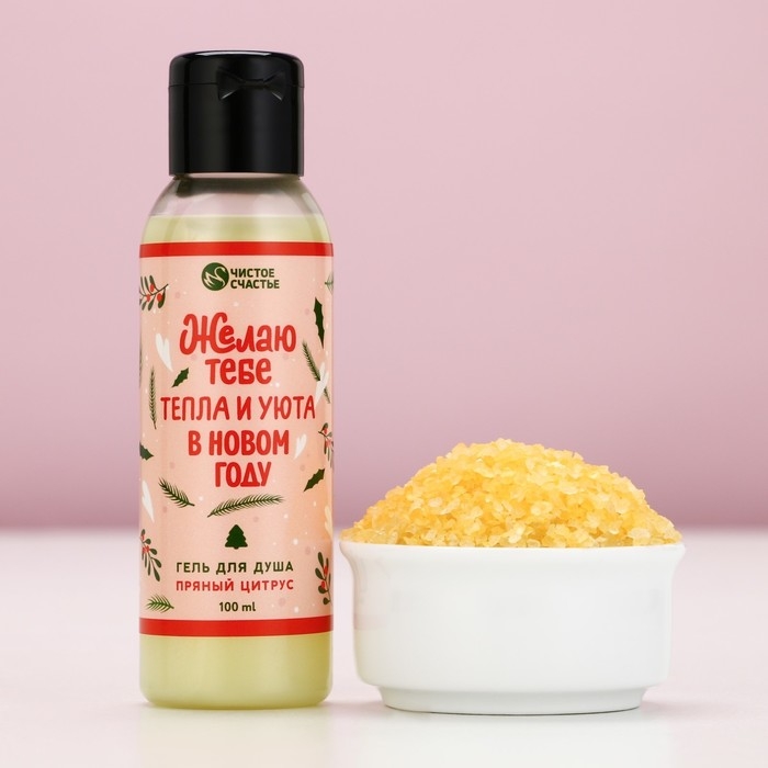 Подарочный набор косметики &laquo;С Новым Годом&raquo;, гель для душа 100 мл и соль для ванны 100 г, аромат пряного цитруса, ЧИСТОЕ СЧАСТЬЕ