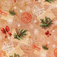 Бумага упаковочная новогодняя &laquo;Почта&raquo;, глянец, двусторонняя, 80 г/м&sup2; , 50&times;70 см