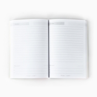 Подарочный набор ежедневник и мыльные лепестки &laquo;Учителю: Золотой учитель&raquo;