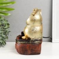 Фонтан настольный от сети "Китайская монета богатства" 11х14х20 см