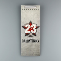 Пакет подарочный ламинированный под бутылку, упаковка, &laquo;Защитнику&raquo;, 23 февраля, 13 x 35 x 10 см