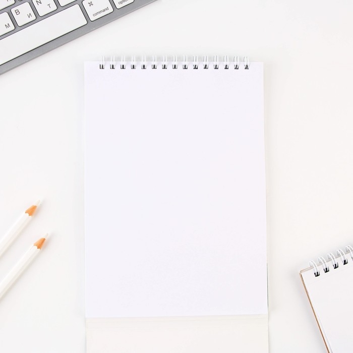 Подарочный набор «Учителю: Учитель всегда прав»: блокнот А5, 40 л. и ручка Подарочный набор «Учителю: Учитель всегда прав»: блокнот А5, 40 л. и ручка