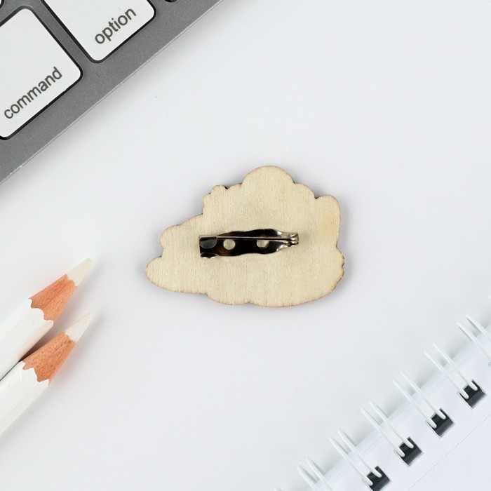 Значок в коробочке &laquo;Магистр сна&raquo; 5 х 4 см