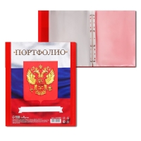 Папка-портфолио А4, Calligrata "Герб", пластиковая, на 4 кольцах, для школьника, 20 файлов Папка-портфолио А4, Calligrata "Герб", пластиковая, на 4 кольцах, для школьника, 20 файлов