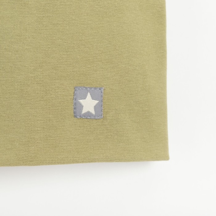 Шапка для мальчика, цвет оливковый, размер 54-58 Шапка для мальчика, цвет оливковый, размер 54-58