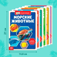 Мини-энциклопедии «Мир животных», набор 6 шт. по 20 стр. Мини-энциклопедии «Мир животных», набор 6 шт. по 20 стр.