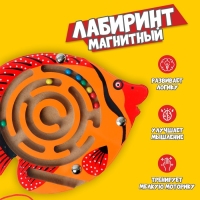 Лабиринт магнитный малый &laquo;Рыбка&raquo; цвета МИКС