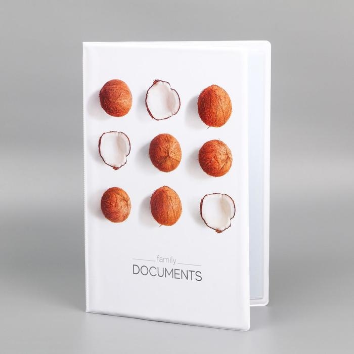 Папка для семейных документов &laquo;Docs&raquo;, 8 файлов А4
