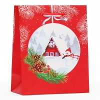 Новый год. Пакет подарочный "Новгодний шар", 18 х 22,3 х 10 см.