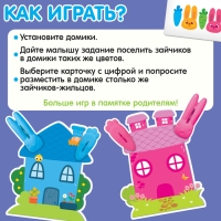 Развивающий набор &laquo;Зайкин домик&raquo;
