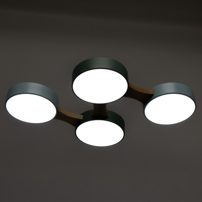 Люстра "Пиатти" 4LED 96Вт 3000-6000К синий зеленый 65х48х5 см BayerLux